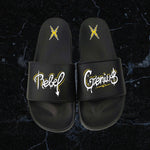 Slides
