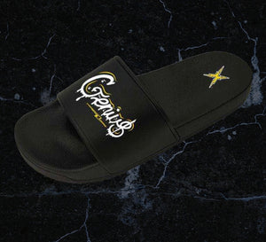 Slides